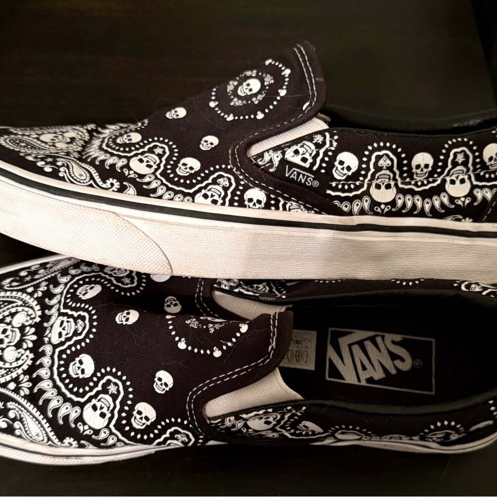 Vans Black and White Skull Pattern Slip-Ons